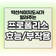 외출 후 뿌리는 프로폴리스 스프레이 효능 부작용 원액 섭취방법