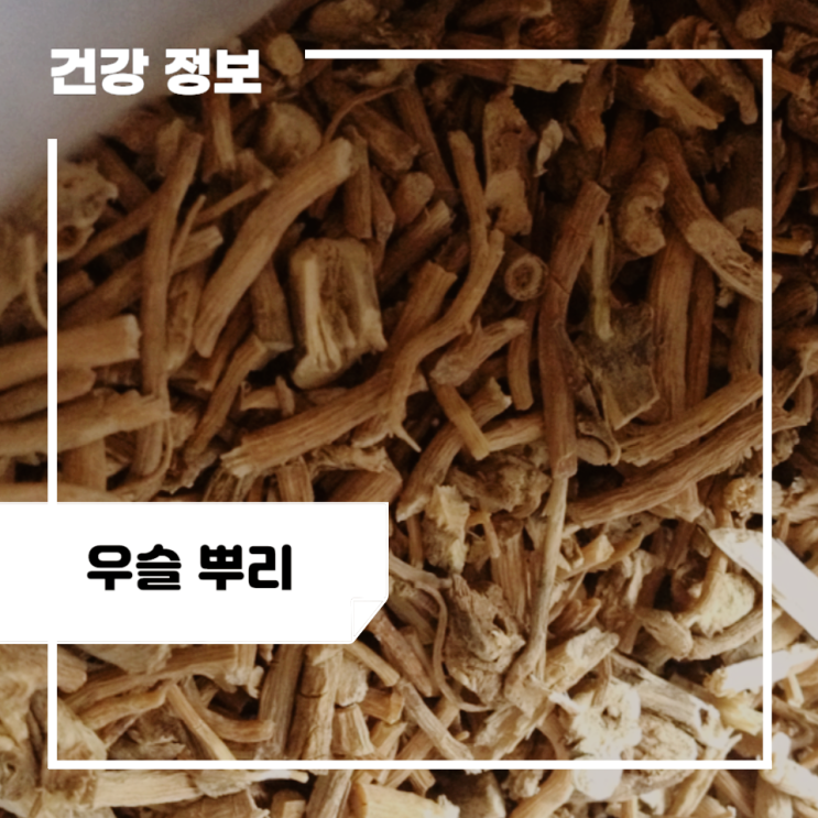 우슬 뿌리 효능 5가지, 부작용 : 우슬차 효능 : 네이버 블로그