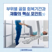 부위별 골절 회복기간과 재활의 핵심 포인트