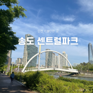 인천 데이트코스 추천｜송도 센트럴파크, G타워 전망대, 보트 가격