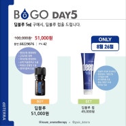 8월25일도테라BOGO딥블루딥블루럽추석선물천연파스