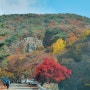 雲山八景 江堂溪谷의 스토리텔링을 갖춘 『瑞山 龍賢里 磨崖如來三尊像』 탐방