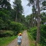 경기도 가평 걷기좋은 명품숲길 잣향기푸른숲 두번째 트레킹 (4.3km, 1시간20분 소요)