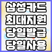 삼성 비즈 아이디 베네핏카드 BIZ ID BENEFIT 4대보험 실전 전략