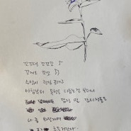 식물의 이해, 닭의장풀