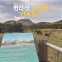 제주도 한라산 어리목탐방로 만세동산