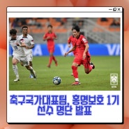 축구국가대표팀, 홍명보호 1기 선수 명단 발표