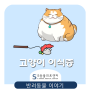 고양이 이식증 [위례/북위례/감일지구/거여동/하남/마천동 동물병원 위례s동물의료센터]