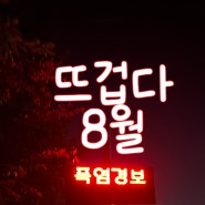 8월일상 아팠고 운동했고