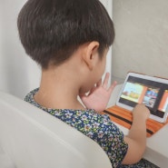 VIPKid 북미권 선생님과 1대1어린이화상영어 수업후기