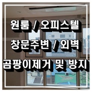 원룸 오피스텔 창문쪽 외벽 단열문제로 인해 곰팡이가 생겼어요