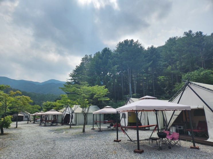가평 신상 글램핑 추천 내돈내산 럭셔리 글램핑 달빛정원 : 네이버 블로그