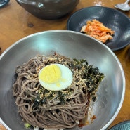 조치원 모과나무골 막국수이야기 맛있네