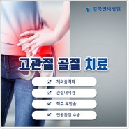 사망까지 이르는 노인 고관절 골절 예방과 치료