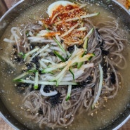 [남악 막국수 맛집] 평창 메밀 막국수