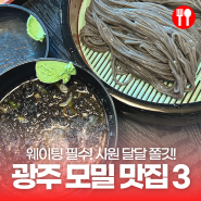 사계절 모두 모밀하세요~! 광주 모밀 맛집 3곳(1960청원모밀, 모밀촌, 모밀사계)