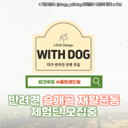 [Withdog] 반려견 수중트레드밀(슬개골 재활운동) 체험단