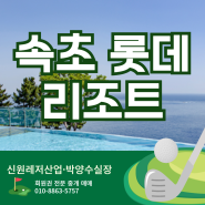 속초 롯데리조트 회원권 매매 시세 스위트회원권 워터파크 수영장