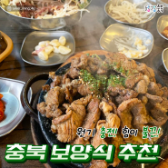 충북맛집추천 지친 몸에 활력을 충북보양식추천!