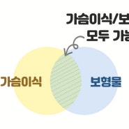 이런분들은 꼭 가슴이식 하세요! (2)