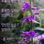 오늘의 명언 9/13