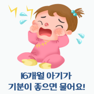 [임서영의 육아팁] 16개월아기가 기분이 너무 좋으면 막 물어요ㅠㅠ