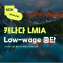 캐나다 LMIA Low-wage 중단, 워크퍼밋 1년 단축