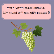 프랑스 와인의 정수를 경험할 수 있는 최고의 와인 로드 여행: Episode 2