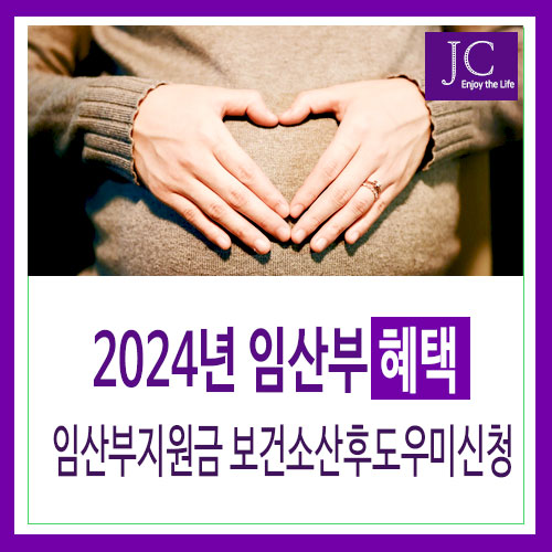 2024년 임산부 혜택: 정부 임신출산 임산부지원금 보건소 산후도우미 신청 : 네이버 블로그