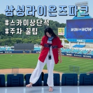 삼성라이온즈파크 주차 꿀팁 스카이상단석 시야