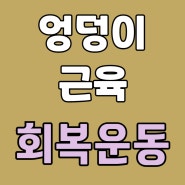 김포체형교정 엉덩이 근력 회복 후 근육 운동