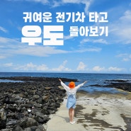 전기차 타고 우도 돌아보기 (배시간, 비양도, 검멀레해변, 서빈백사, 우도봉)