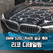 BMW 520i, 베이직 디테일링과 카시트 살균 케어