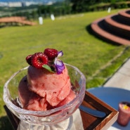 [거창카페 이수미팜베리] 유기농 산딸기 먹으러 오세요~