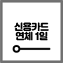 신용카드 연체 1일만에 벌어지는 일(+날짜별)