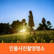 서울 사진찍기 좋은곳 : 서울 주말나들이 ,서울 공원추천 올림픽공원, 세빛섬,덕수궁돌담길