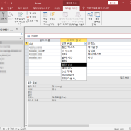 Microsoft Access 데이터 형식 & 일반적으로 사용되는 데이터 형식