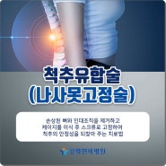 척추유합술 어떤 원리일까? 공릉정형외과에서 알려드려요