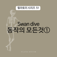 필라테스 아나토미, 필라토미 시리즈 51 Swan dive Modifications 스완 다이브 변형 동작