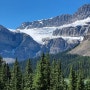 세 갈래로 갈라진 빙하가 까마귀발을 닮았다는 크로우풋빙하(Crowfoot Glacier)