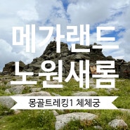 노원공인중개사학원 졸업생 모임에서 다녀온 몽골트레킹(1) 체체궁