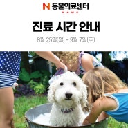 8월 25일(일) ~ 9월 7일(토) 진료시간 안내_24시동물병원 N동물의료센터 [노원점]