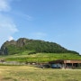 [제주도]성산일출봉 / 성산 흑돼지 맛집 독고집