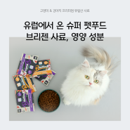 안전한 고양이, 강아지 브리젠사료! 영양 성분을 만나보자!