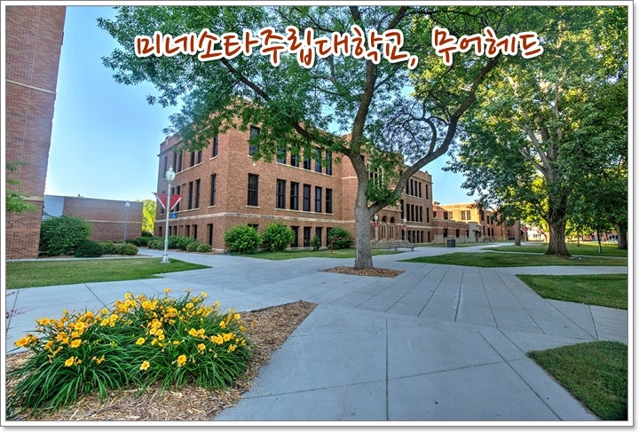 미국대학 유학 - Minnesota State University, Moorhead (미네소타 주립대학교, 무어헤드), MSUM ...
