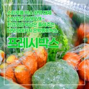 📦 다모아패키지와 함께하는 환경을 생각한 신선한 선택, 종이아이스박스! 🌿