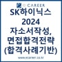 [취업컨설팅] 2024년 SK하이닉스 자소서 작성방법 및 면접 합격전략 (합격사례 기반)