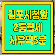 김포시청앞 2룸월세 사우역 도보5분 김포시청 도보1분, 저렴하고 깨끗하고 주차장넓어요 살기좋은집