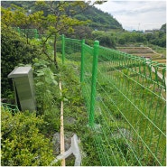 보성펜스 경계선 울타리 대지 설치 시공 다녀왔습니다