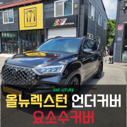 올뉴렉스턴 언더커버 요소수커버 왜 필요할까